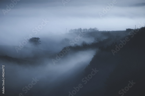 foggy landscape in morning