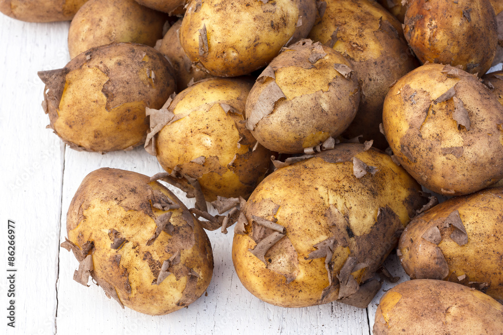 Unwashed new potatoes on white rustic wood. Space for text. Unwashed new potatoes on white rustic wood. Space for text.