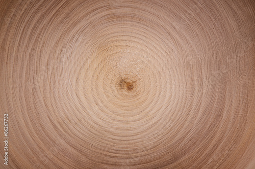 wood cut circles texture