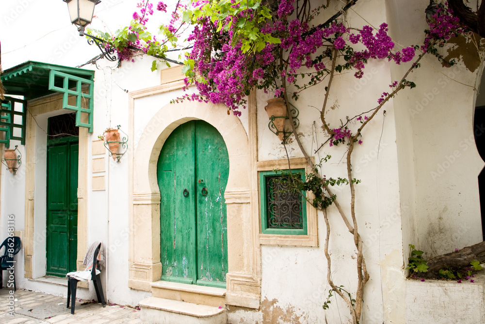 Fototapeta premium Street with wooden doors and bush with flowers in Mahdia. Tunisi