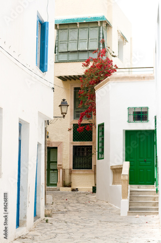 Street with wooden doors and bush with flowers in Mahdia. Tunisi