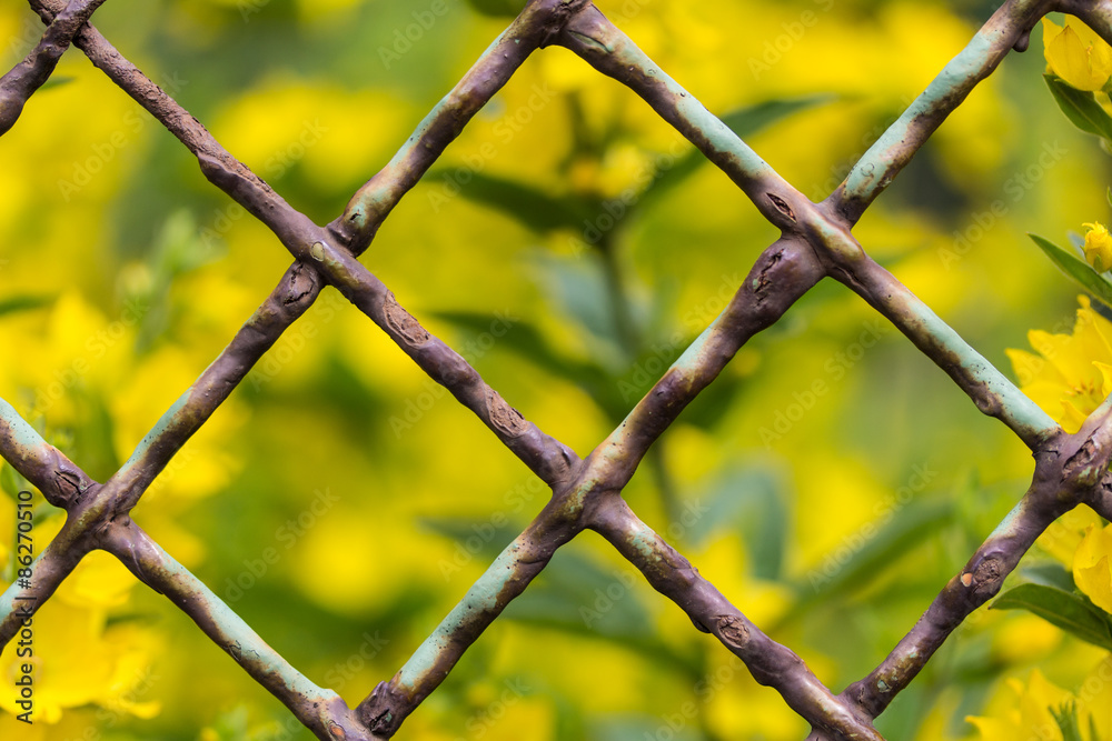 Gartenzaun, verrostet, nah Gartenzaun, verrostet, nah