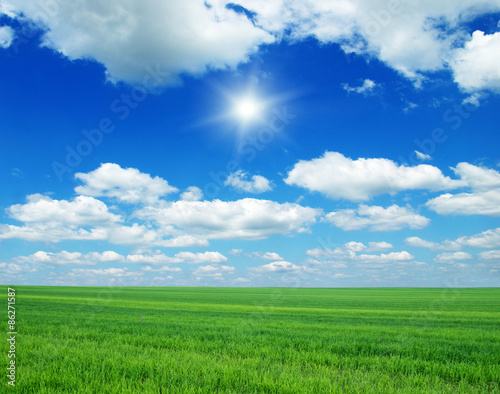 Green field, blue sky and sun