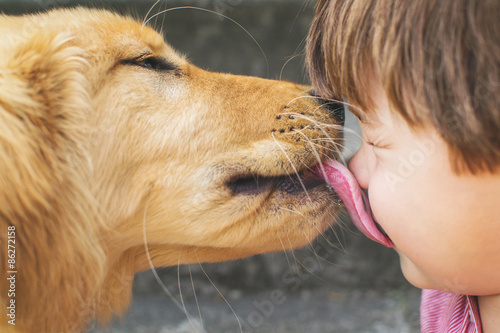 Close-up of a golden retriever licking a boy's face photo