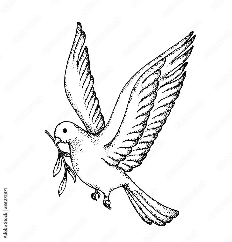 Vector of Hand draw dove. Symbol of peace Stock Vector | Adobe Stock
