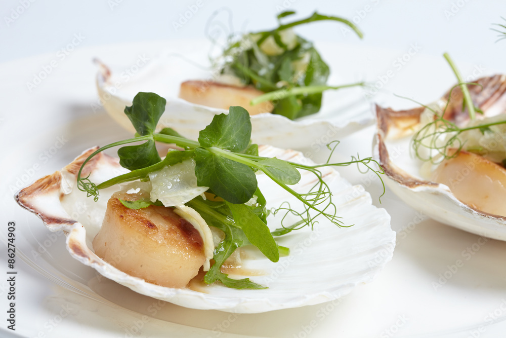 appetizer close-up: scallops, onion fennel, herbs appetizer close-up: scallops, onion fennel, herbs