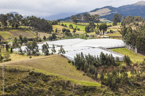 Greenhouse farm in the Ecuadorian sierra