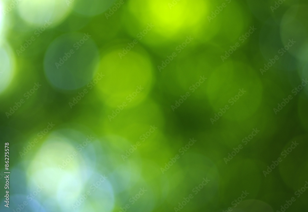 Obraz premium green bokeh
