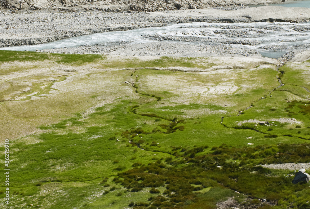 il colorato letto del torrente alpino