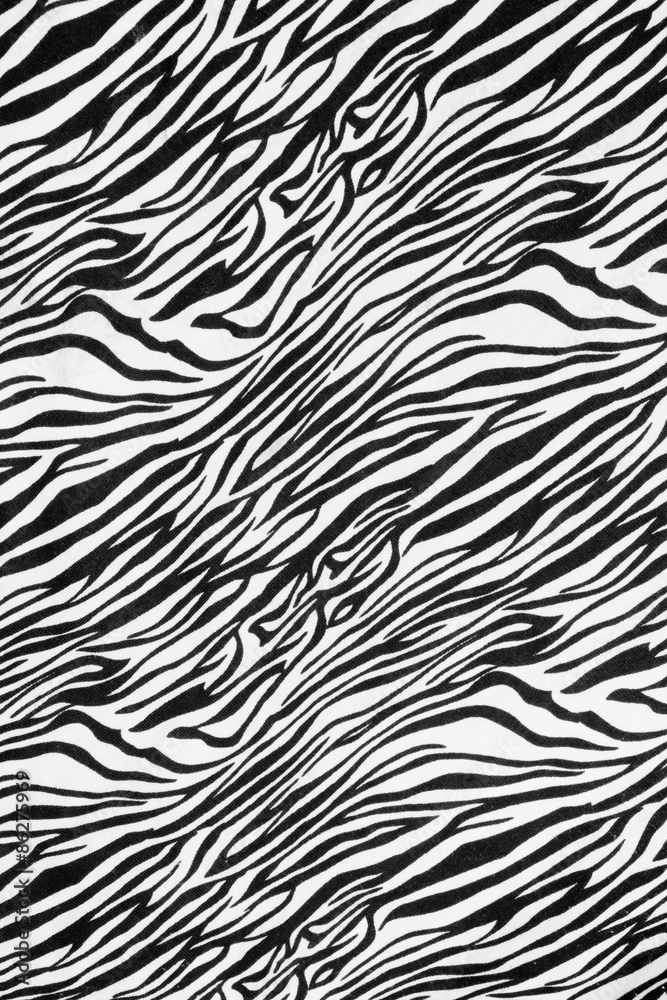 texture of zebra style fabric texture of zebra style fabric