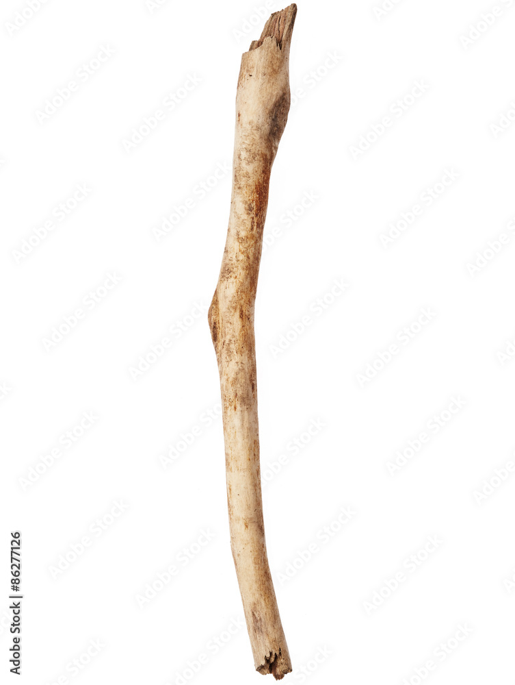 Tree stick