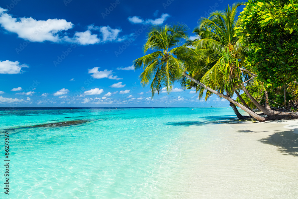 Naklejka premium palmy kokosowe na tropikalnej plaży raju z turkusową wodą i niebieskim niebem
