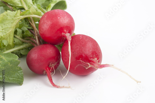 Radish