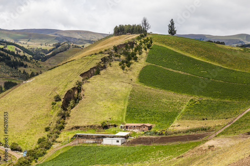 Cultivated fields on slopes of the Ecuadorian Andes