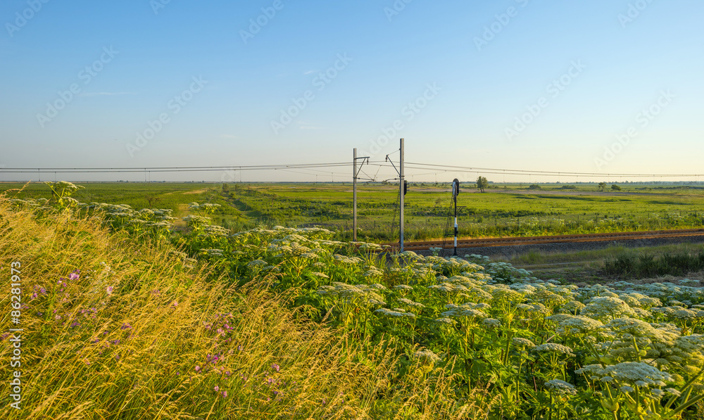 Railroad through a sunny landscape in summer Railroad through a sunny landscape in summer