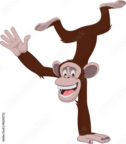 Funny monkey