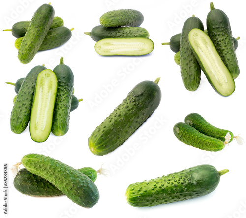 Cucumber isolated on white collection set