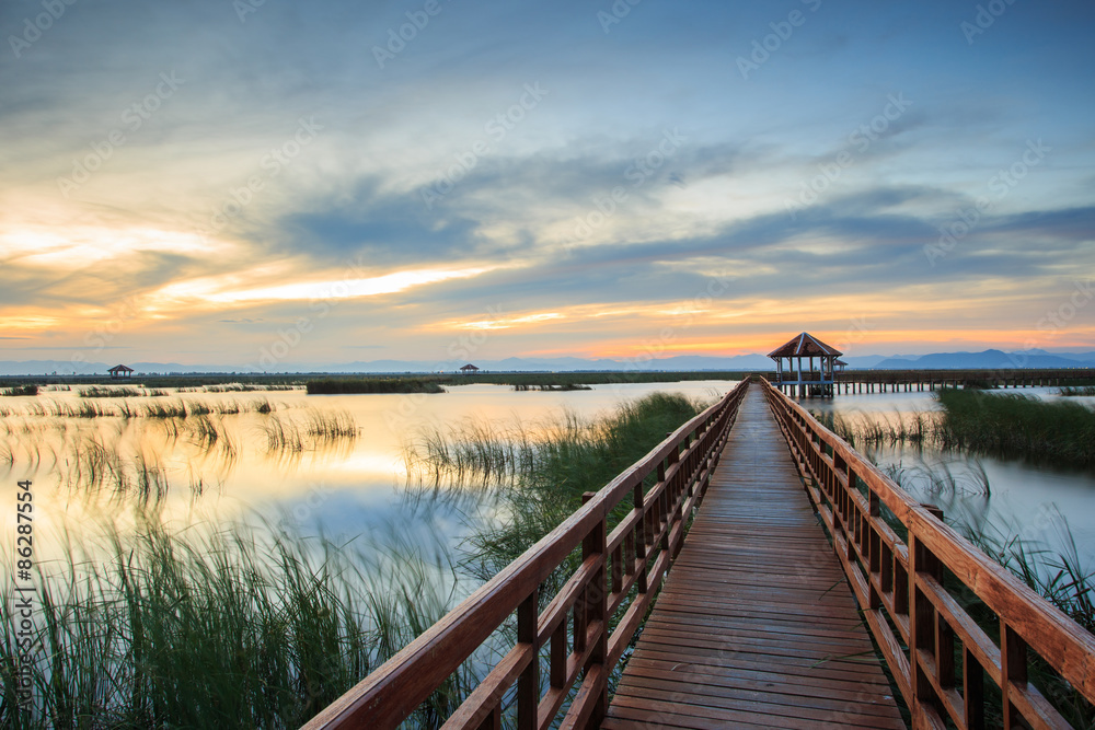 Fototapeta premium Wooden Bridge in lotus lake on sunset time at Khao Sam Roi Yot National Park, Thailand