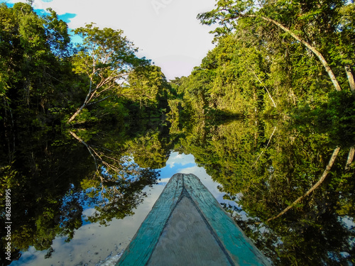 Amazon river