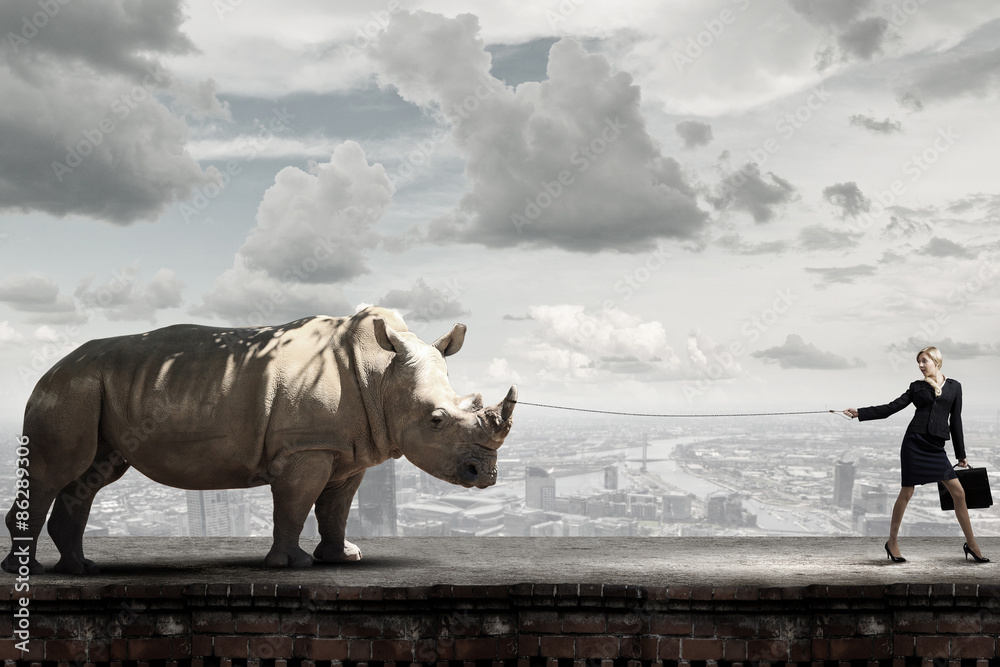 Obraz premium Protect animals