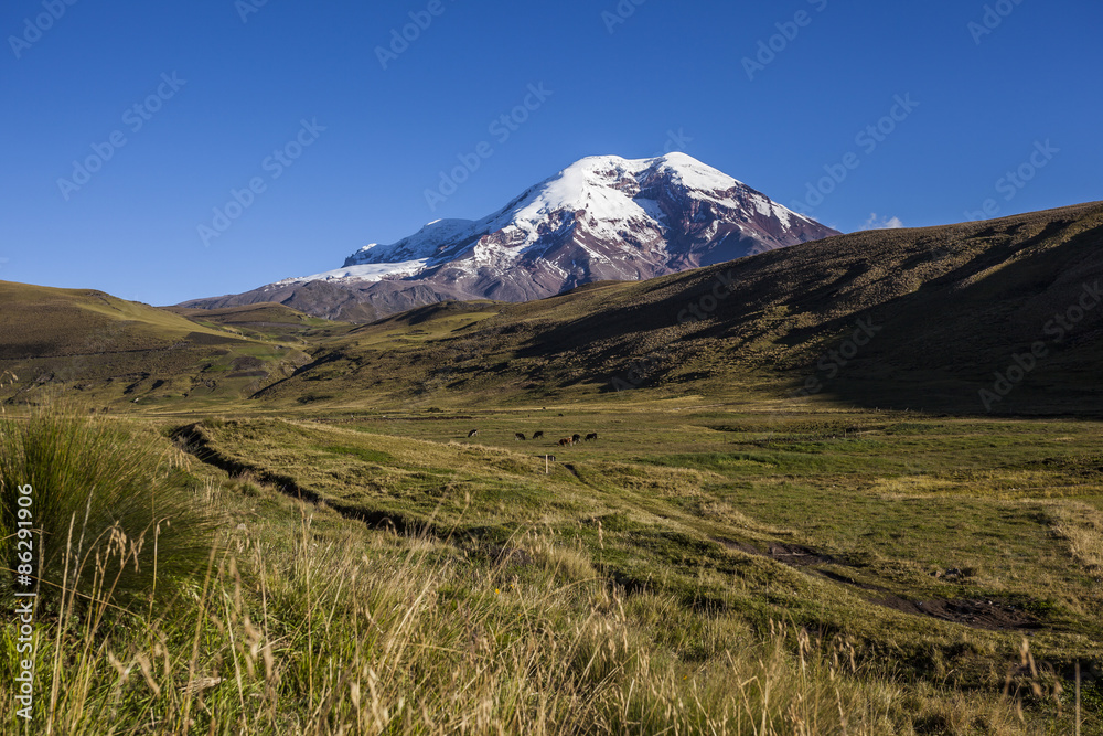 Fototapeta premium Chimborazo volcano and paramo