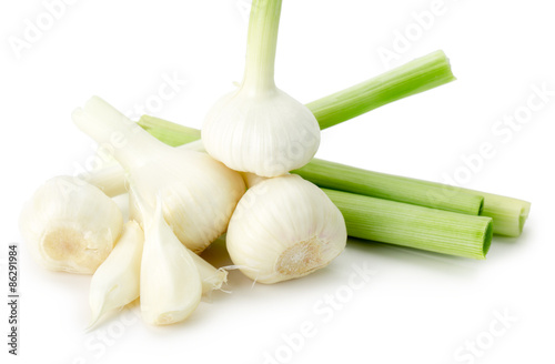 young garlics isolated on the white background