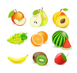 vector illustration of vector fruits