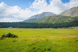 Idillic mountain landscape in summer in Montenegro, Europe