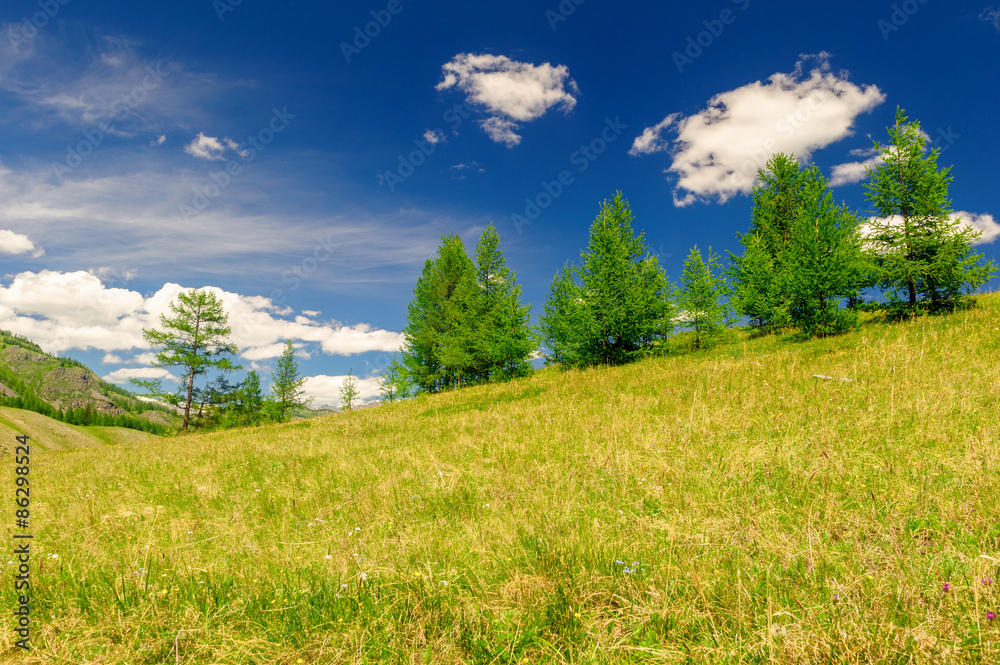 Highland meadow, sky and clouds in Altai mountains in summer Highland meadow, sky and clouds in Altai mountains in summer