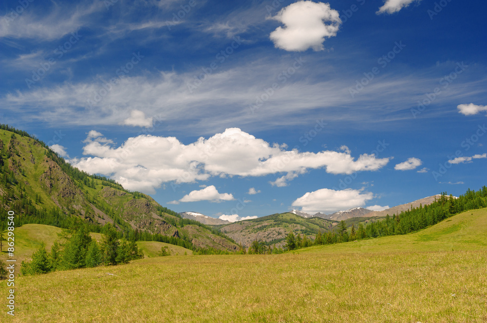 Highland meadow, sky and clouds in Altai mountains in summer