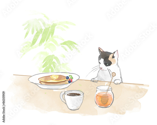 朝食を覗き込む猫