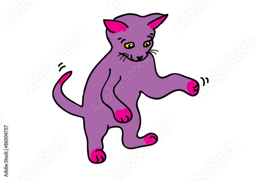 Purple Cat
