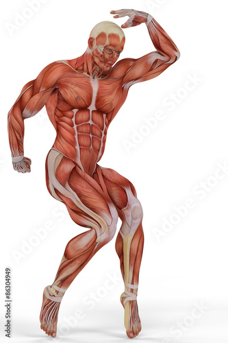 muscle medical man ballet