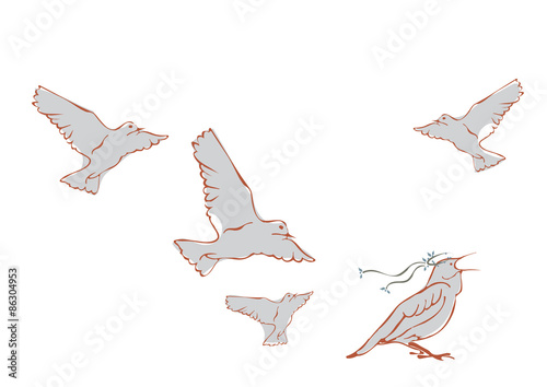 Wedding Birds