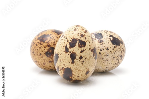 Fototapeta quail eggs isolated on white background