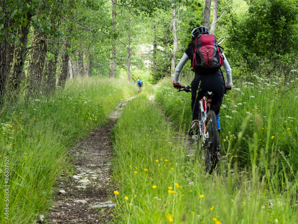 Woman riding mountain bike in the forest. Woman riding mountain bike in the forest.