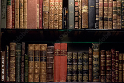 Canvastavla Antique and rare Books Shelf