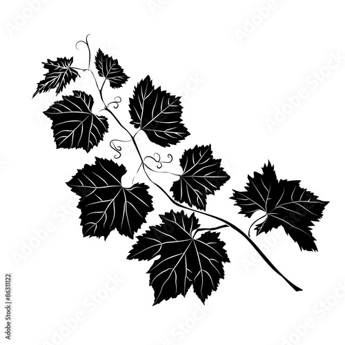 Grape Leaves baroque plants