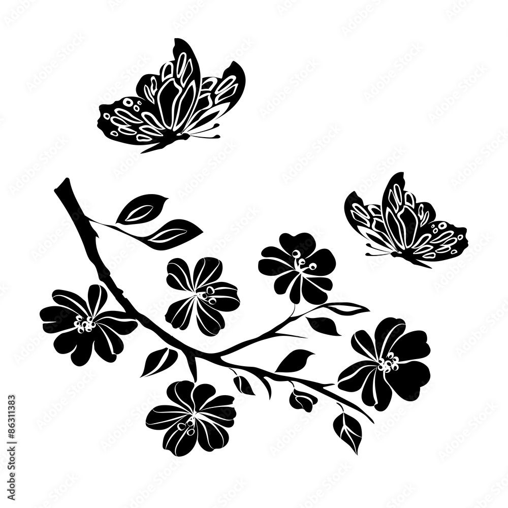 Fototapeta premium twig cherry blossoms and butterflies