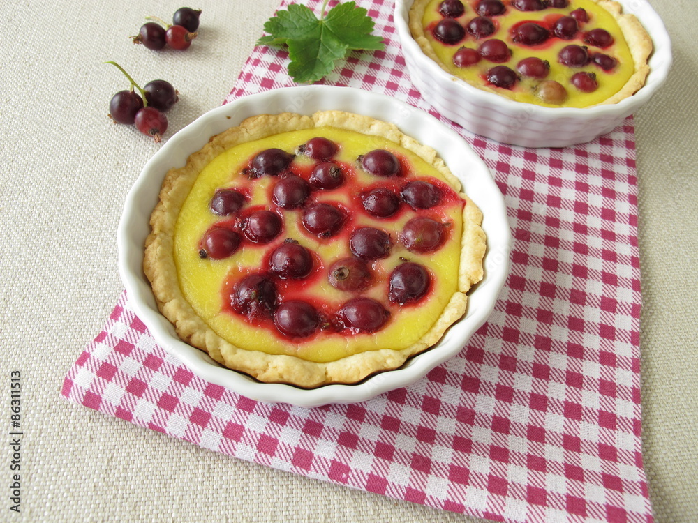 Jostabeerkuchen mit Pudding Jostabeerkuchen mit Pudding