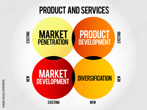 Market development strategy matrix, business concept