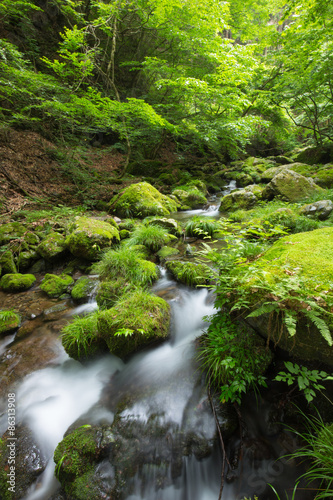 渓流と新緑（東京奥多摩の海澤の三滝）