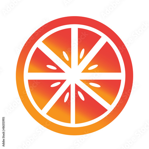 Orange fruit icon