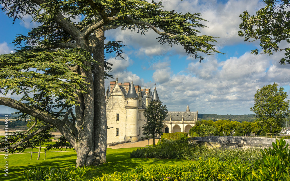 Amboise Castle, France.