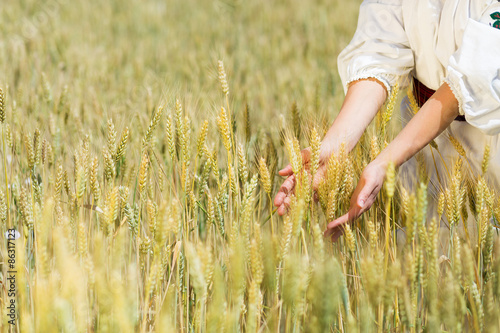 Wheat field in summer © Tinatin