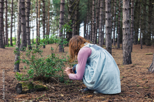фотографія Woman foraging in forest