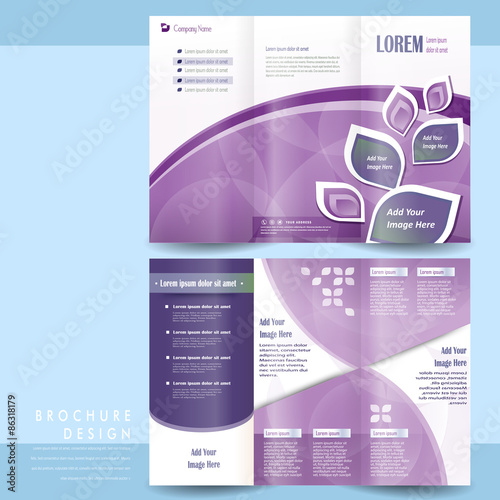 elegant tri-fold template design