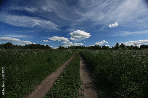 road in summer field
