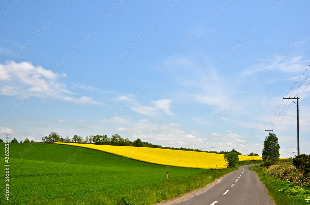 北海道の果てしない大空と広い大地 Stock Photo Adobe Stock