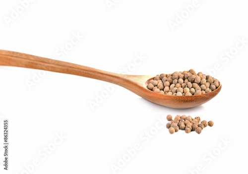 White pepper spoon isolated on white background